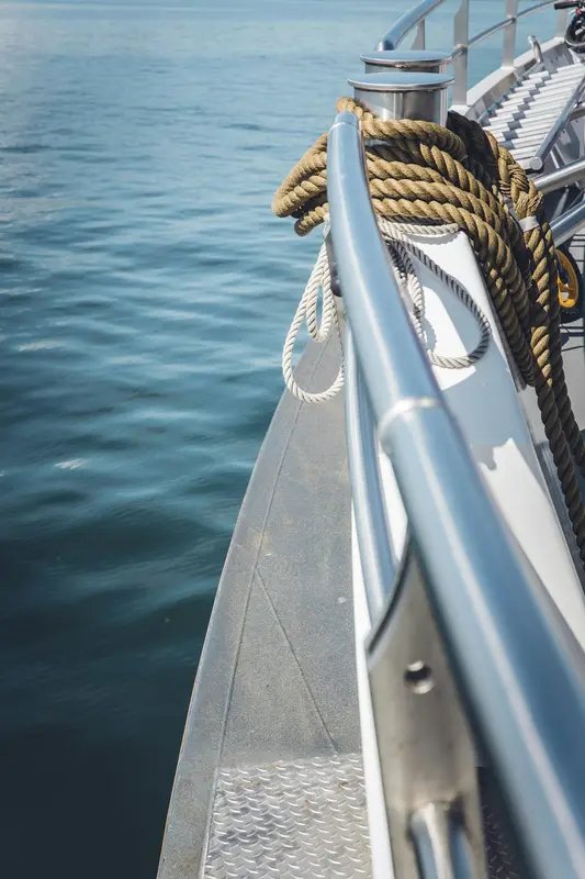 Raptor.Boats Premium Domain